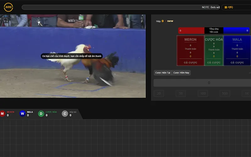 Một trận đấu đá gà trực tuyến với chất lượng Full HD